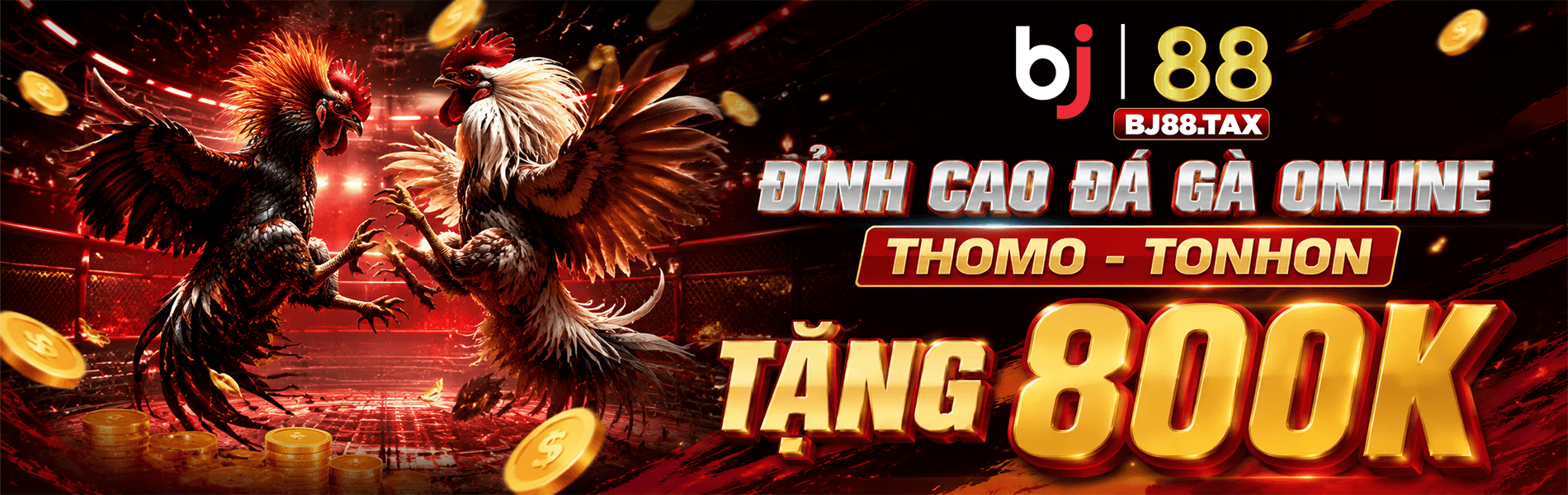 bj88 đỉnh cao đá gà thomo