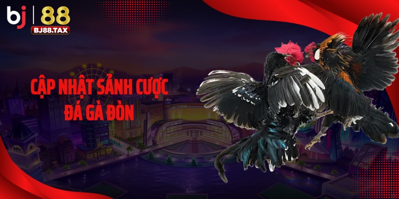 Cập nhật sảnh cược đá gà đòn