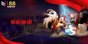 Đá gà cựa sắt