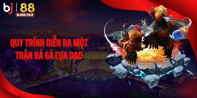 Quy trình diễn ra một trận đá gà cựa dao