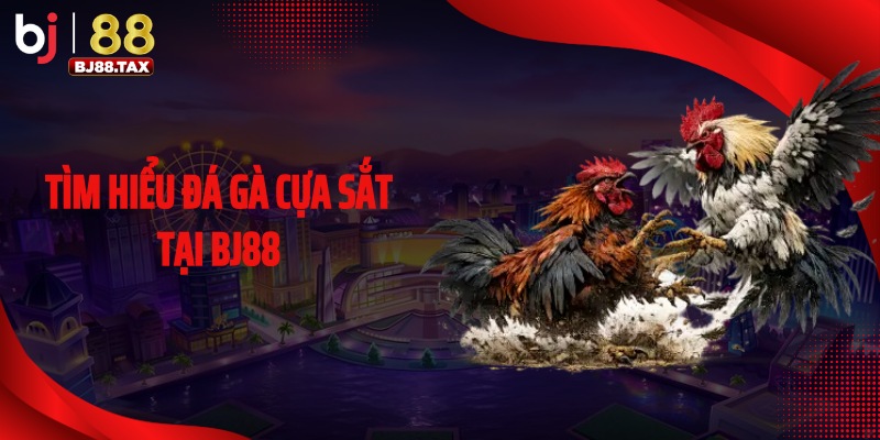 Tìm hiểu đá gà cựa sắt tại BJ88