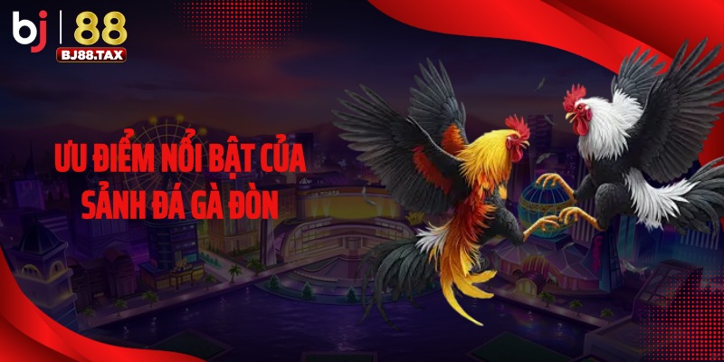 Ưu điểm nổi bật của sảnh đá gà đòn
