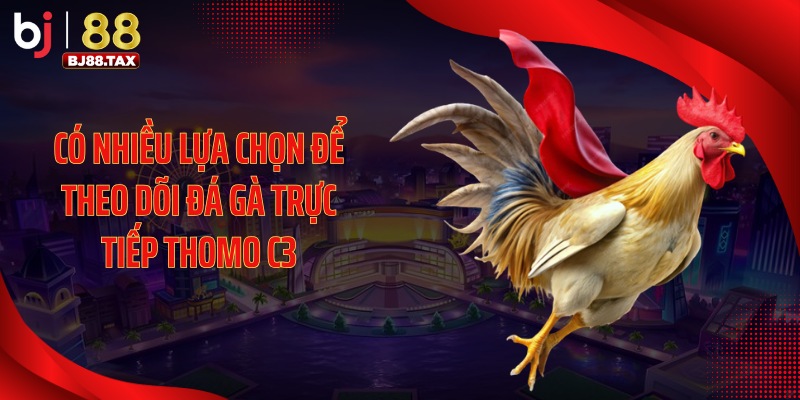 Có nhiều lựa chọn để theo dõi đá gà trực tiếp thomo C3
