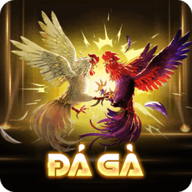 đá gà Bj88