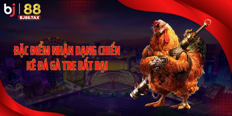 Đặc điểm nhận dạng chiến kê đá gà tre bất bại