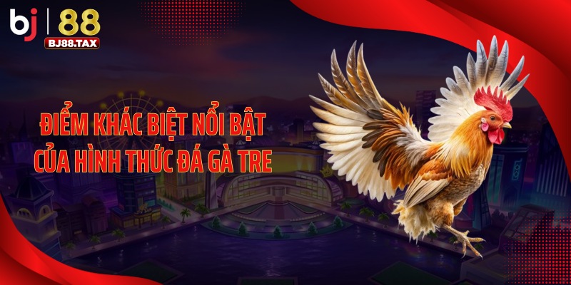 Điểm khác biệt nổi bật của hình thức đá gà tre