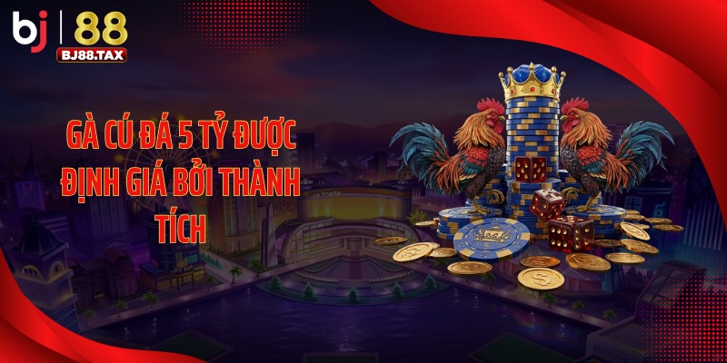 Gà cú đá 5 tỷ được định giá bởi thành tích