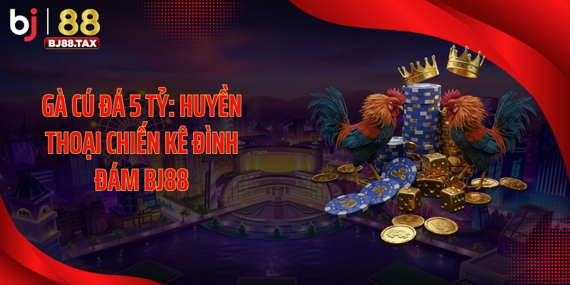 Gà Cú Đá 5 Tỷ