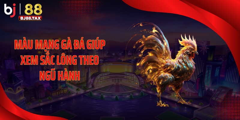 Màu mạng gà đá giúp xem sắc lông theo ngũ hành