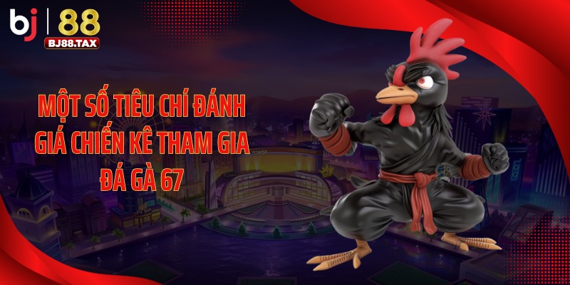 Một số tiêu chí đánh giá chiến kê tham gia đá gà 67