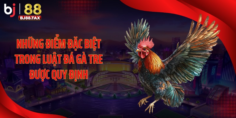Những điểm đặc biệt trong luật đá gà tre được quy định
