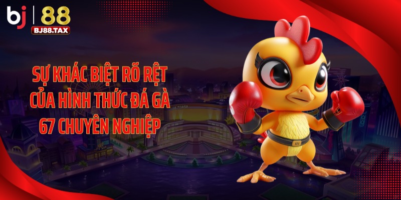 Sự khác biệt rõ rệt của hình thức đá gà 67 chuyên nghiệp